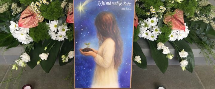 Ohlédnutí za obnovou ŽENA A NADĚJE